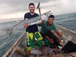 Great Barracuda