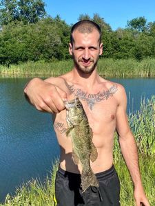 Largemouth Bass