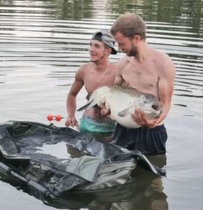 Grass Carp