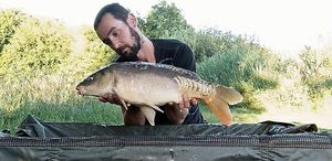 Mirror Carp