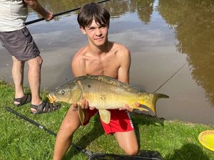 Mirror Carp