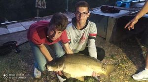 Leather Carp