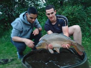 Mirror Carp