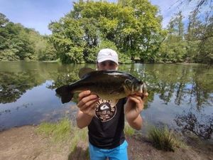 Largemouth Bass