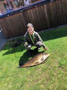 Common Carp