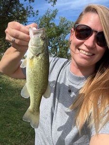 Largemouth Bass