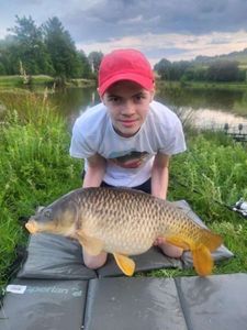 Common Carp