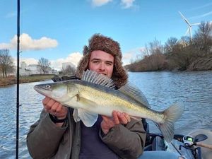 Zander