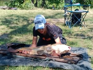 Mirror Carp