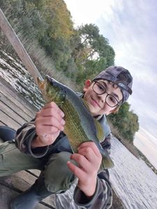 Smallmouth Bass
