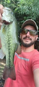 Largemouth Bass