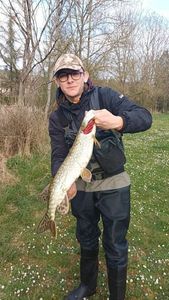 Northern Pike