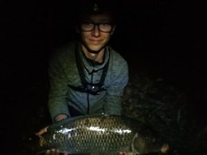 Common Carp