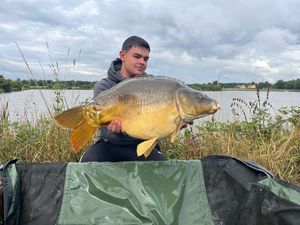 Mirror Carp