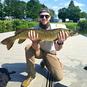 Northern Pike