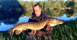 Northern Pike