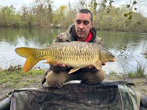 Mirror Carp