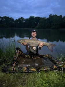 Grass Carp