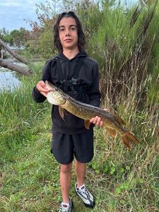 Northern Pike