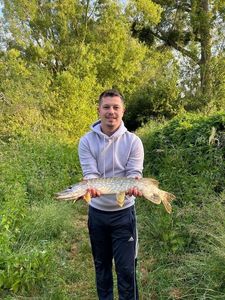 Northern Pike
