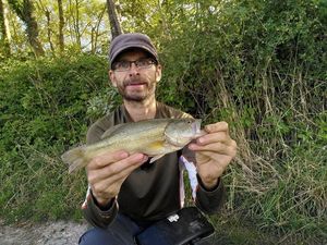 Largemouth Bass