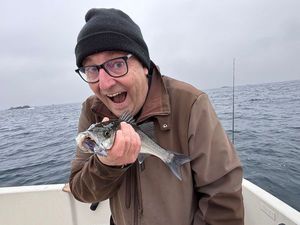 European Bass (Seabass)
