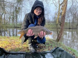 Crucian Carp