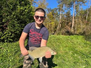 Common Bream