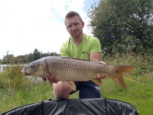 Common Carp