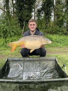 Mirror Carp