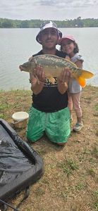 Mirror Carp