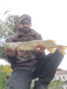 Northern Pike