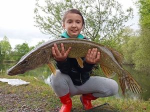 Northern Pike