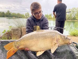 Mirror Carp