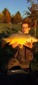 Mirror Carp