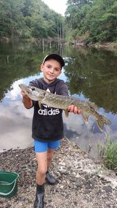 Northern Pike
