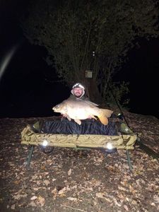 Mirror Carp