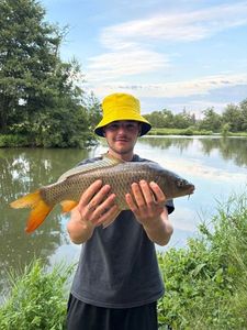 Common Carp