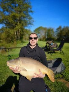 Mirror Carp