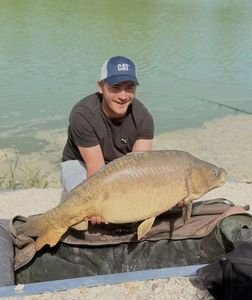 Mirror Carp