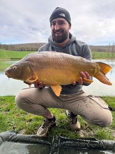 Leather Carp