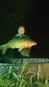Mirror Carp