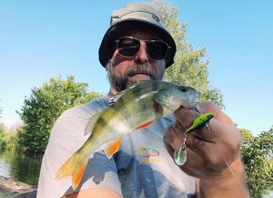 European Perch
