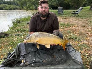 Mirror Carp