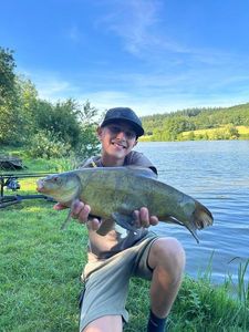 Tench