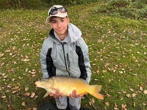 Mirror Carp