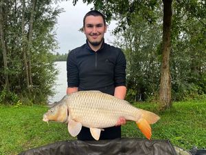 Common Carp