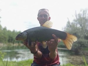 Tench