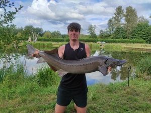Sturgeon