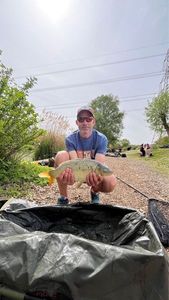 Common Carp
